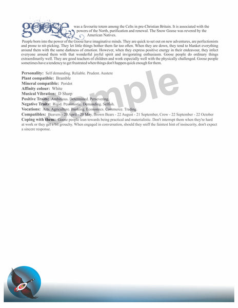 Influenced Birthday Card - December 22 - January 19-Goose