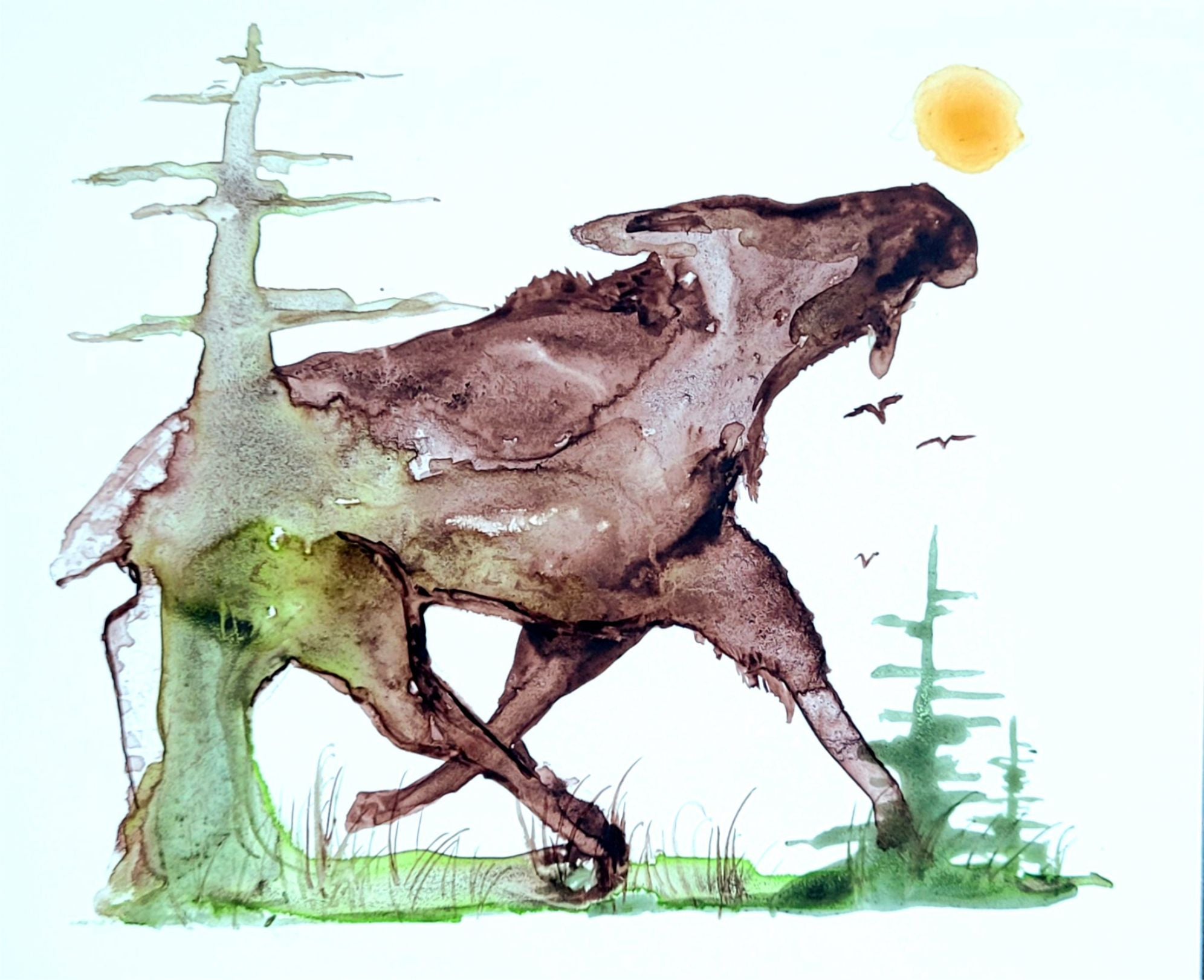 Moose in Spring - Art Card