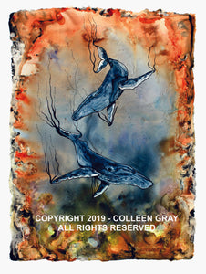 Image of Title: Coral Choir 16x20 archival print by Metis Artist Colleen Gray Indigenous Canadian Art Work. Image of two whales swimming. Very orange and blue. For sale at https://artforaidshop.ca